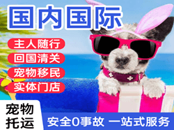天府空运地址国际宠物托运 【国
